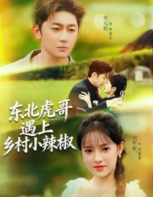 东北虎哥遇上乡村小辣椒(67集全)史元庭&吴梦媛-紫橙网创项目网