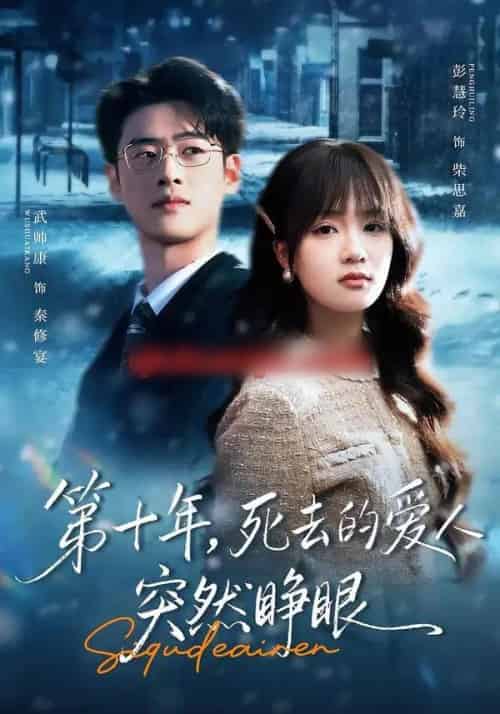 第十年,死去的爱人突然睁眼(62集全)武帅康&彭慧玲-紫橙网创项目网