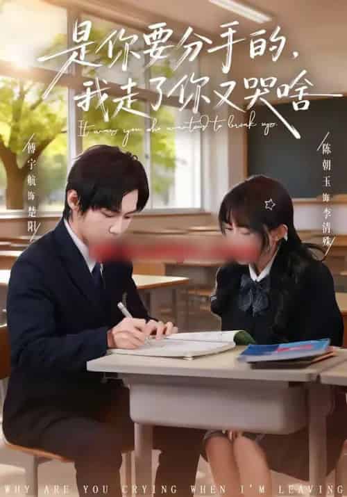 是你要分手的，我走了你又哭啥（83集全）傅宇航＆陈朝玉-紫橙网创项目网