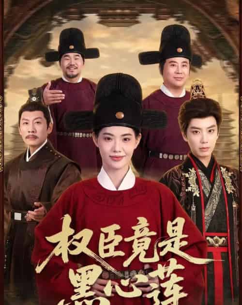 权臣竟是黑心莲(61集全)唐书亚&董洁-紫橙网创项目网