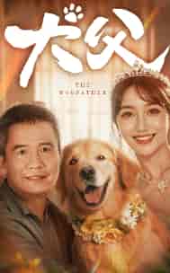 犬父（40集） - 紫橙阁短剧