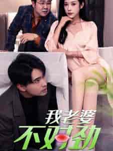 我老婆不对劲（34集全）林琦婷 - 紫橙阁短剧