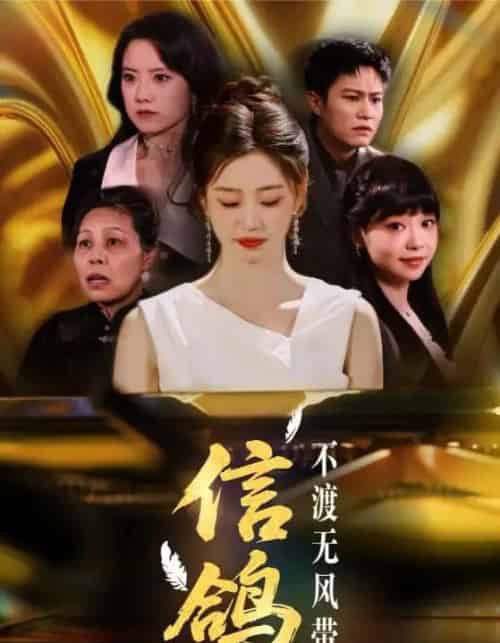 信鸽不渡无风带（65集）杨雨萌 - 紫橙阁短剧