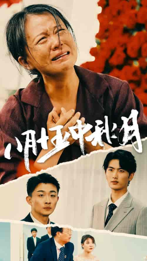 八月十五中秋月 八月十五中秋月