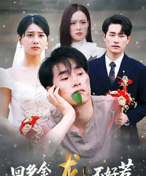 回乡金龙不好惹(74集)薛海威&徐海文-紫橙网创项目网