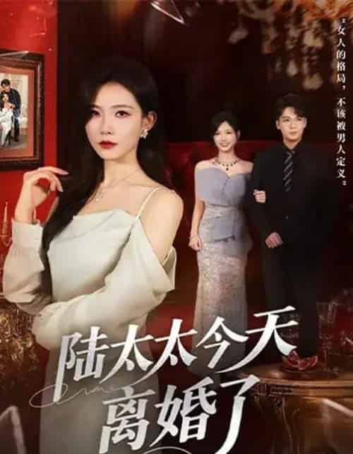 陆太太今天离婚了（59集全）刘灿＆丁敬一-紫橙网创项目网