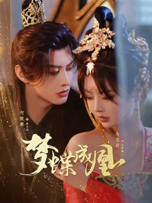 梦蝶成凰（71集全）何健麒＆马芯妤 - 紫橙阁短剧