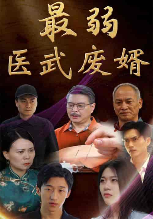 最弱医武废婿（70集全）赵辰＆林雨怡 - 紫橙阁短剧