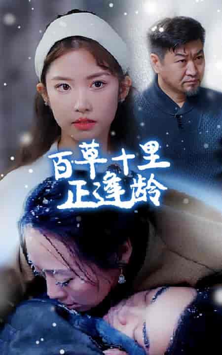 百草十里正逢龄（40集全） - 紫橙阁短剧
