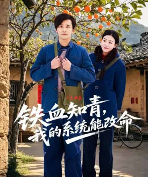 铁血知青，我的系统能改命（80集全）梅洋＆李文瑞-紫橙网创项目网