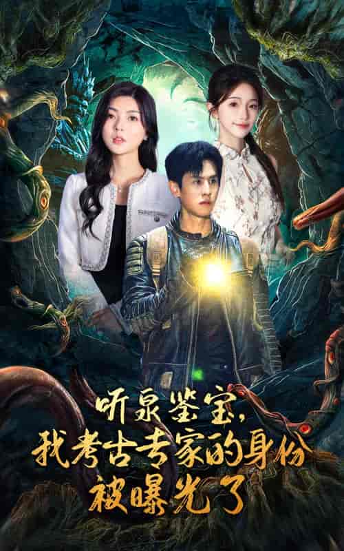 听泉鉴宝，我考古专家的身份被曝光了（62集全） - 紫橙阁短剧