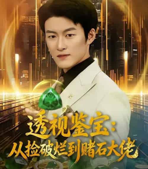 透视鉴宝：从捡破烂到赌石大佬（80集全）李佳乐＆姜博龙-紫橙网创项目网