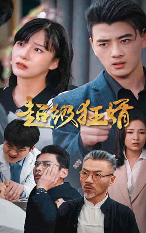 超级狂婿（81集） - 紫橙阁短剧