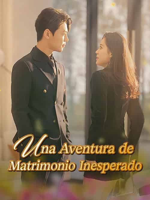Una Aventura de Matrimonio Inesperado Una Aventura de Matrimonio Inesperado