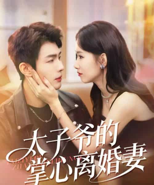 太子爷的掌心离婚妻（76集全）张培君＆杨云绚-紫橙网创项目网