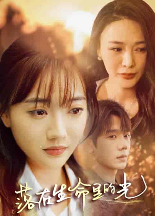 落在生命里的光（78集） - 紫橙阁短剧