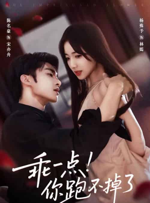 乖一点!你跑不掉了(85集全)陈名豪&杨殊予-紫橙网创项目网