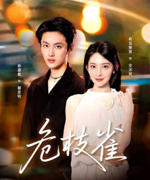 危枝雀（64集全）蒋袁娅蓉＆孙嘉俊-紫橙网创项目网