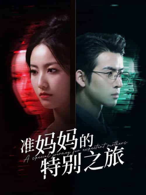准妈妈的特别之旅（80集全） - 紫橙阁短剧