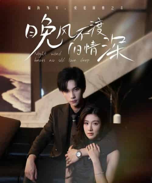 晚风不渡旧情深（70集）马法洋＆美美（程美华）-紫橙网创项目网