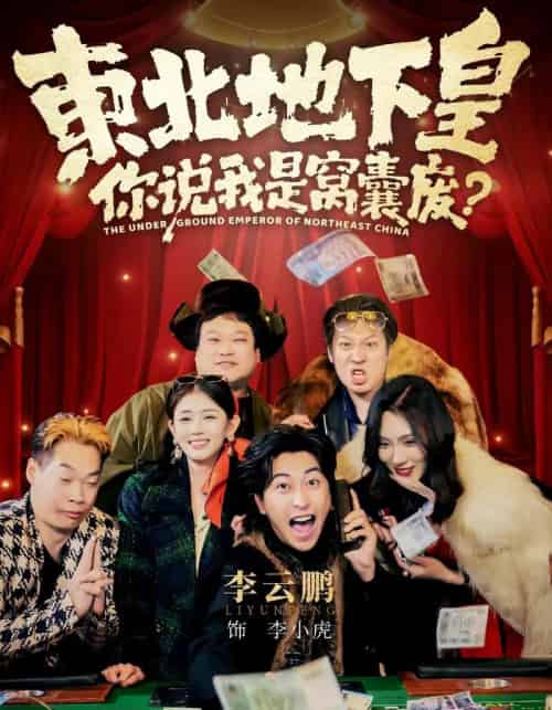 东北地下皇,你说我是窝囊废(72集全)李云鹏&郑其妙&闫佳颖-紫橙网创项目网