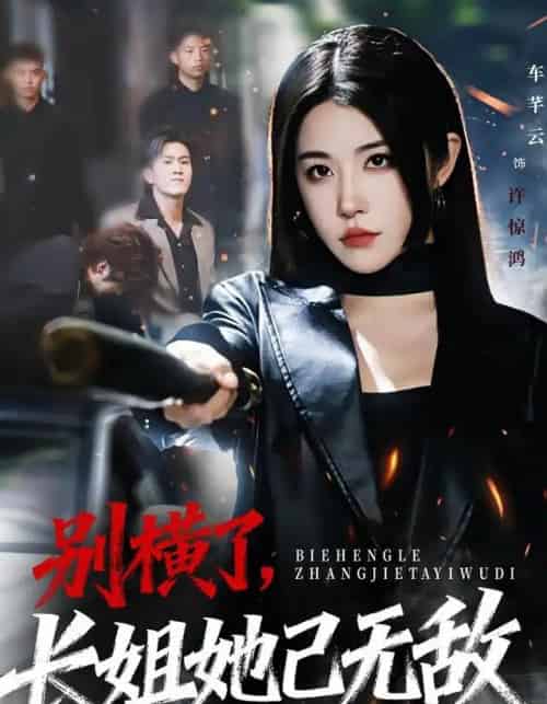 别横了，长姐她已无敌（75集全）李家宝＆车芊云＆孙启鑫-紫橙网创项目网