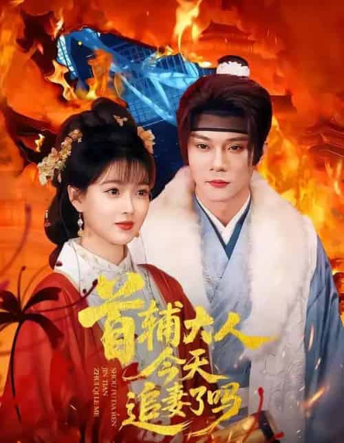 首辅大人今天追妻了吗（74集全）李俊辰＆扬帆-紫橙网创项目网