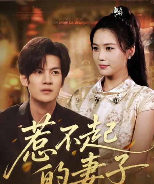 惹不起的妻子 惹不起的妻子