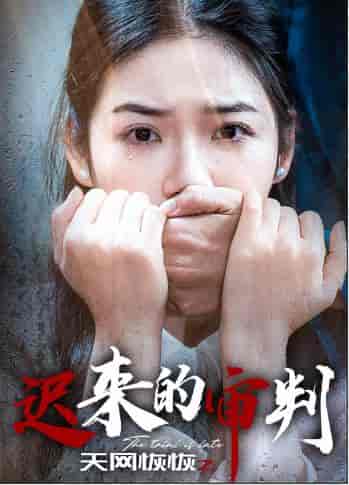 天网恢恢之迟来的审判（31集全）李艺璇 - 紫橙阁短剧