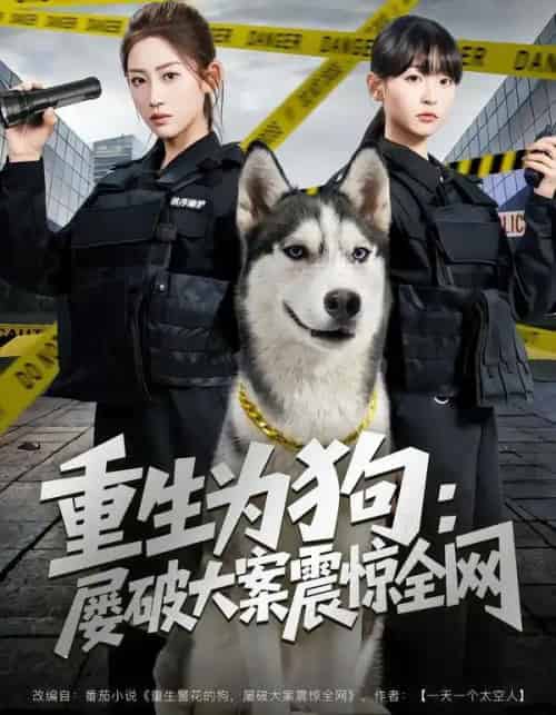 重生为狗：屡破大案震惊全网（80集全）王冰星＆范经明-紫橙网创项目网