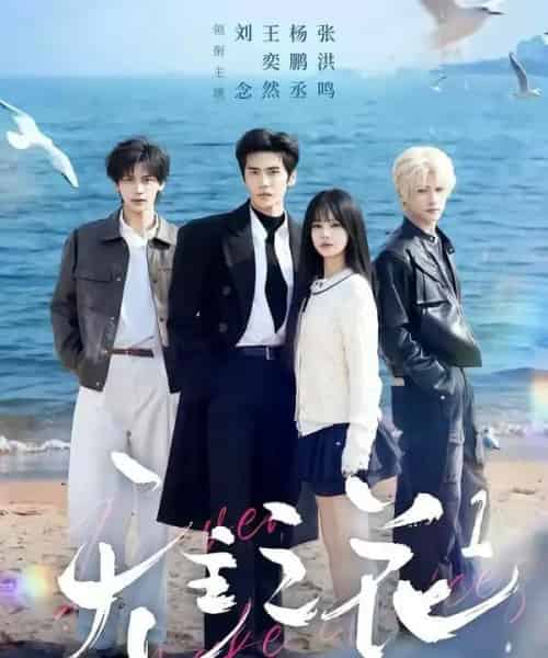 无主之花1(71集全)王奕然&刘念&杨鹏丞&张洪鸣-紫橙网创项目网