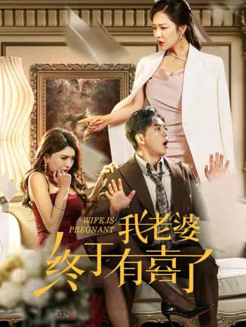 我老婆终于有喜了（40集全）钟莹玲 - 紫橙阁短剧