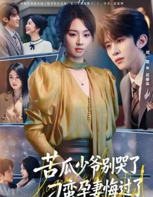 苦瓜少爷别哭了，刁蛮孕妻悔过了（83集全）刘一隆＆张紫菡-紫橙网创项目网