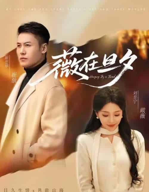 薇在旦夕（80集全）崔忠华＆刘昱宁-紫橙网创项目网