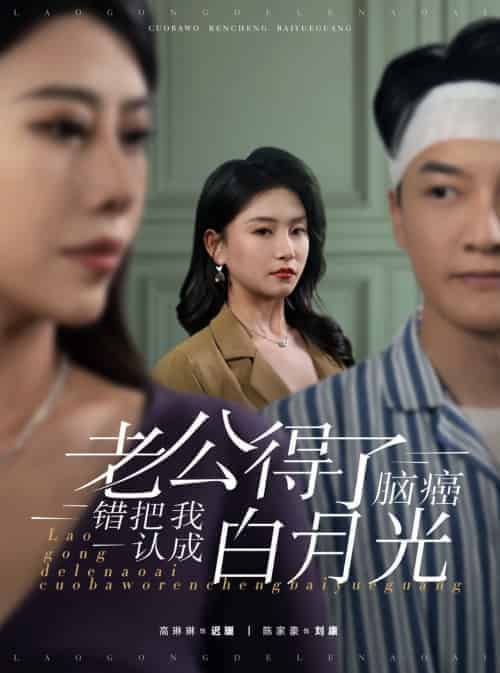 老公得了脑癌错把我认成白月光（30集全） - 紫橙阁短剧