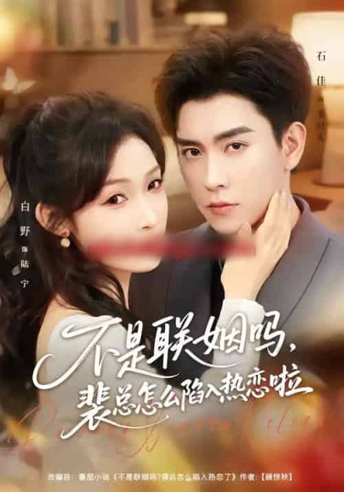 不是联姻吗，裴总怎么陷入热恋啦＆联姻对象是我的死对头（80集全）石佳＆白野-紫橙网创项目网