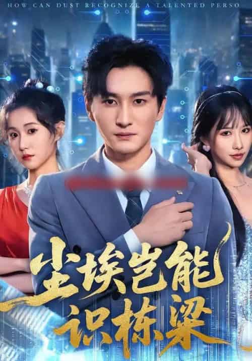 尘埃岂能识栋梁（65集全）甘欣然＆黄昱清＆苏格子-紫橙网创项目网