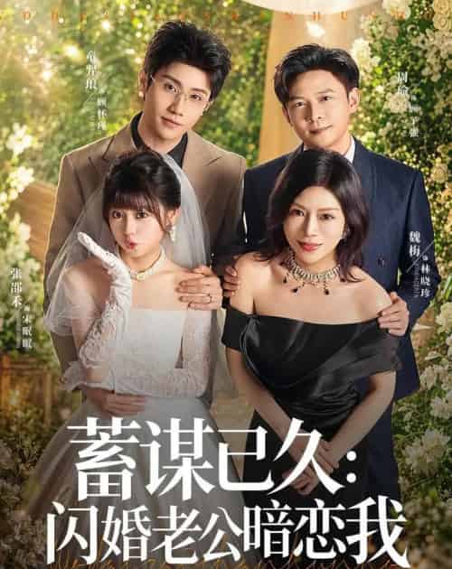 蓄谋已久:闪婚老公暗恋我&我带崽闪婚后怎么老妈也(77集全)童羿琅&张邵禾-紫橙网创项目网