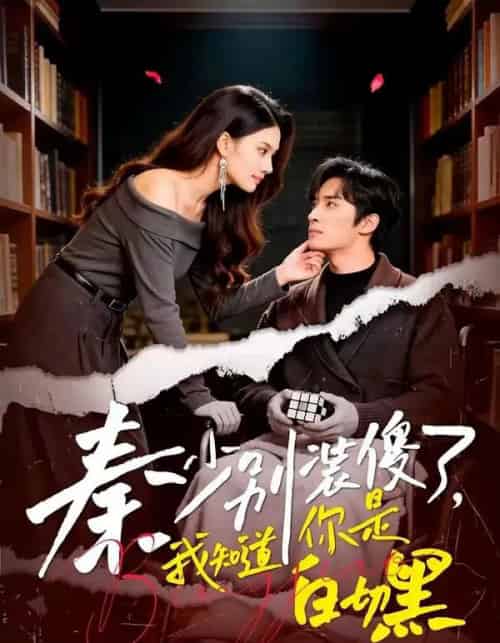 秦少别装傻了,我知道你是白切黑(60集全)王博&赵文涓-紫橙网创项目网