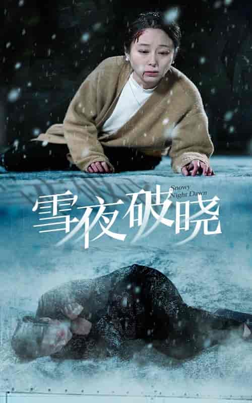 雪夜破晓（36集全） - 紫橙阁短剧
