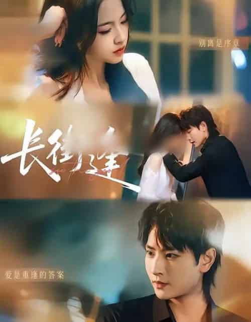 长街逢（61集全）童家豪＆黄婷-紫橙网创项目网