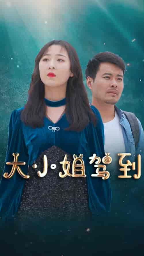 大小姐驾到-161 - 紫橙阁短剧