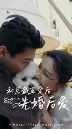 和总裁互穿后先婚后爱（60集） - 紫橙阁短剧
