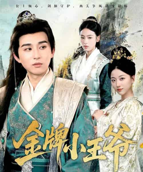 金牌小王爷（80集）潘非佯＆李文瑞-紫橙网创项目网