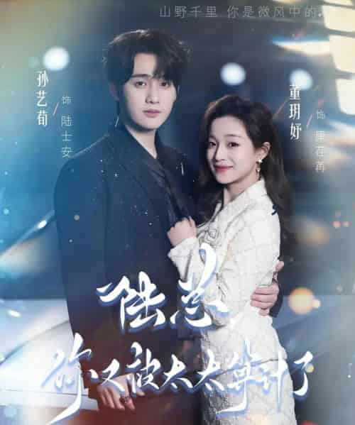 陆总,你又被太太算计了(70集全)孙艺荀&董玥妤-紫橙网创项目网