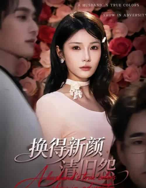 换得新颜清旧怨（58集全）穆森＆夏炎-紫橙网创项目网