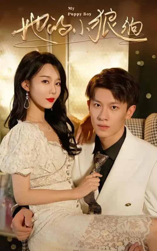 她的小狼狗＆灿烂的风（60集全）冯伊洋＆刘寒羽 - 紫橙阁短剧