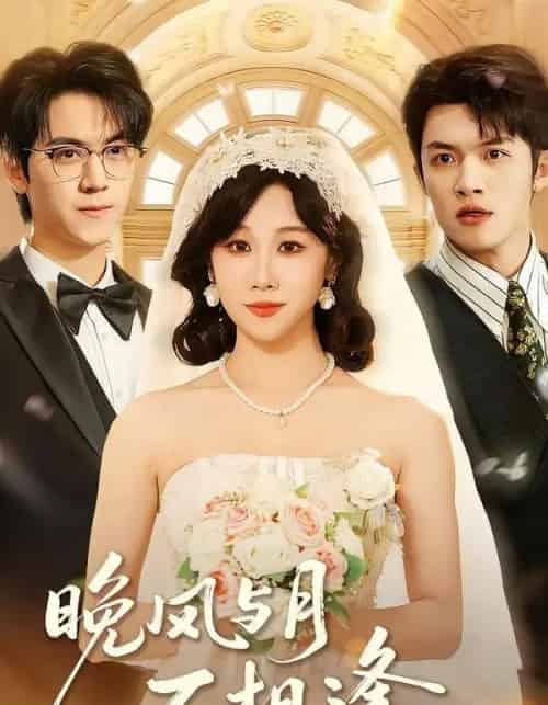 晚风与月不相逢(73集全)夏屿&牟映竹-紫橙网创项目网