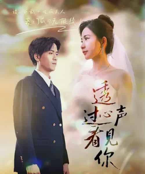 透过心声看见你(70集全)陆路&维尼-紫橙网创项目网