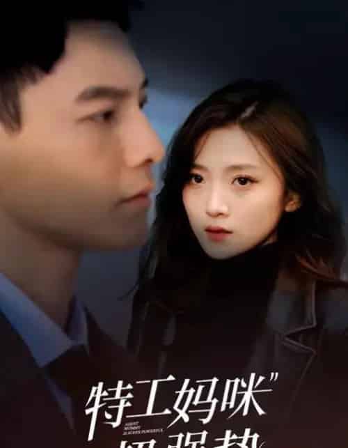 特工妈咪超强势 特工妈咪超强势